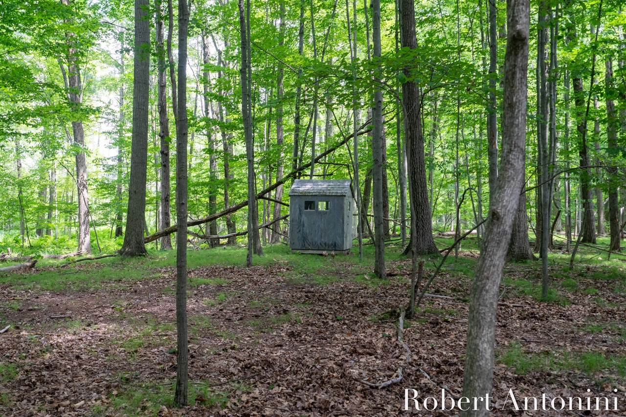 4751 S Johnson Road Property Photo 13