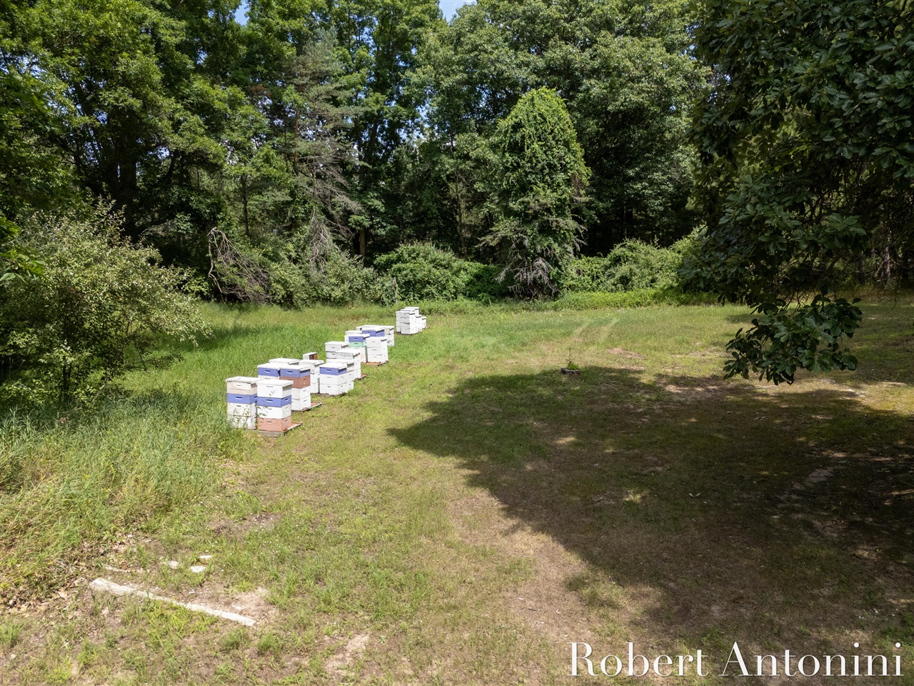 4751 S Johnson Road Property Photo 25