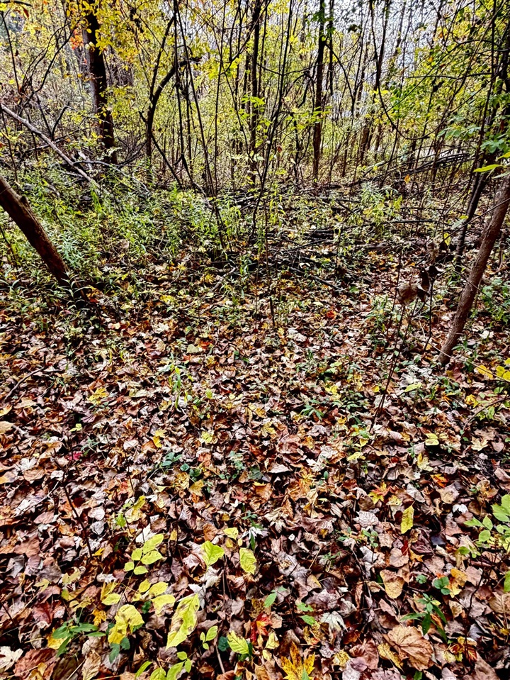 Lot 302 Hilcrest/helen Dr. Property Photo 1