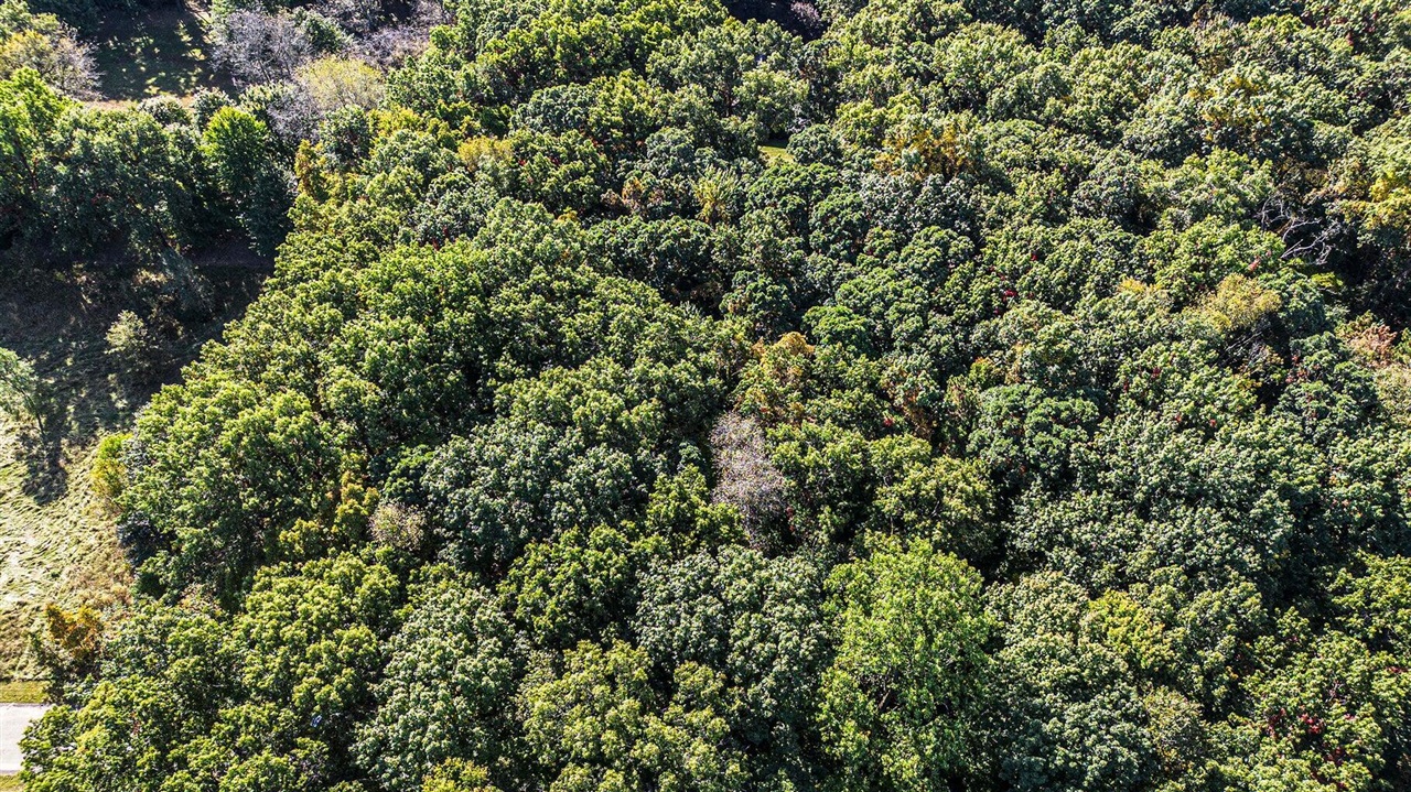 4520 Ross Drive Property Photo 1