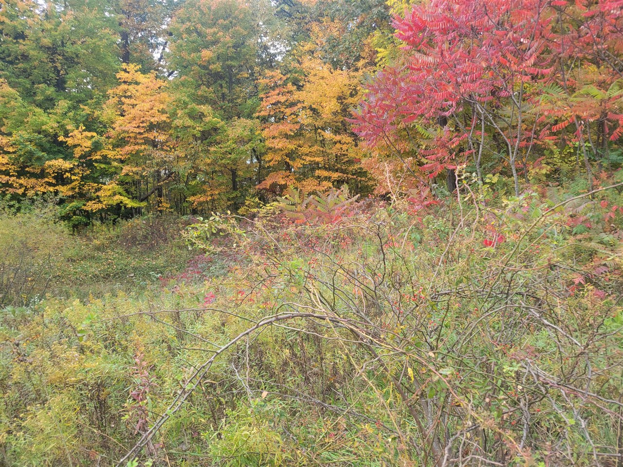 74032 Ridgeway Drive Property Photo 1