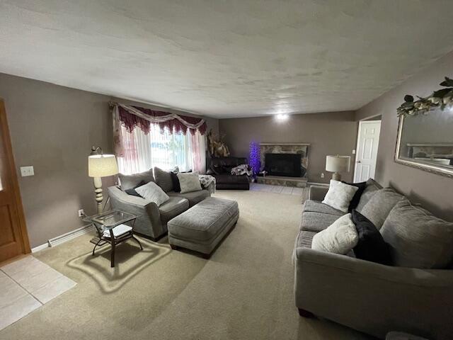 232 Lyn Brook Drive Property Photo 3