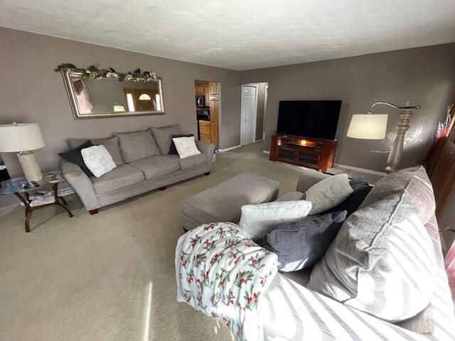 232 Lyn Brook Drive Property Photo 4