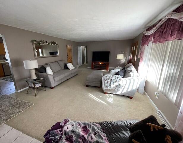 232 Lyn Brook Drive Property Photo 5