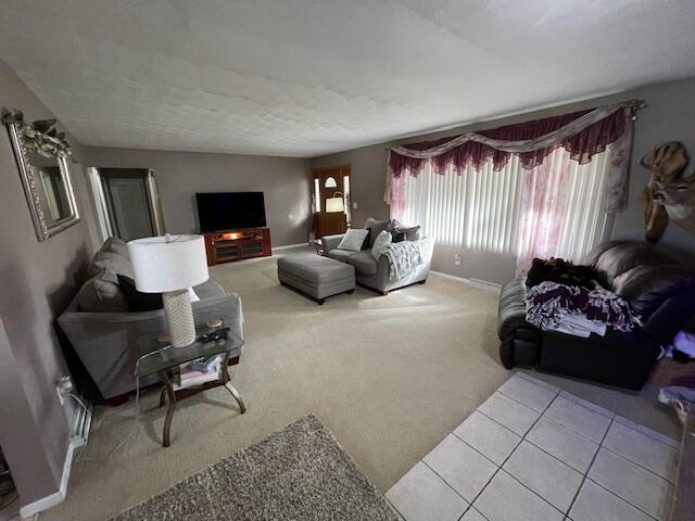 232 Lyn Brook Drive Property Photo 6