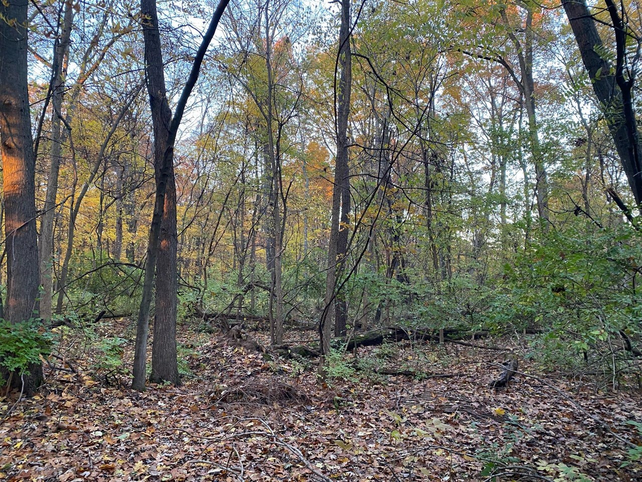 Oak Drive Property Photo 4