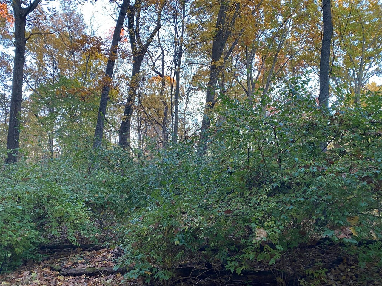 Oak Drive Property Photo 6