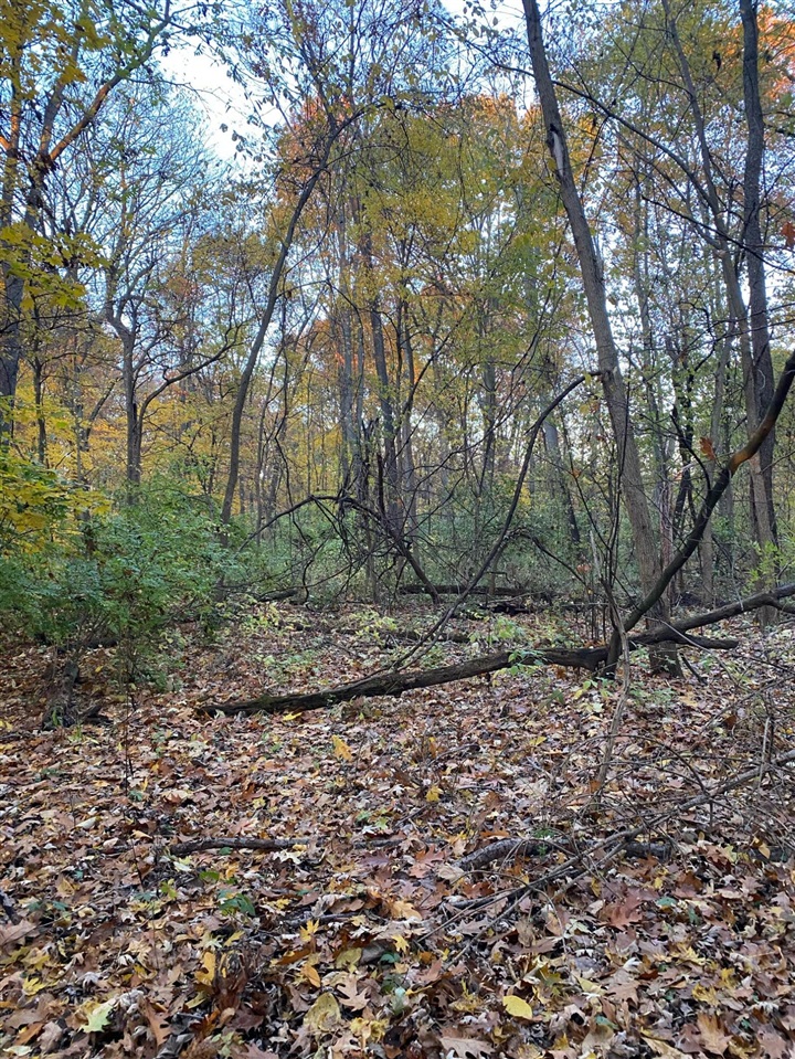 Oak Drive Property Photo 8