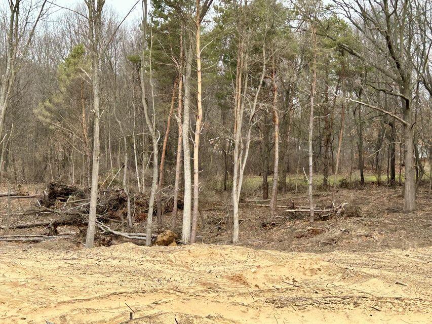 Bauman Road Property Photo 2