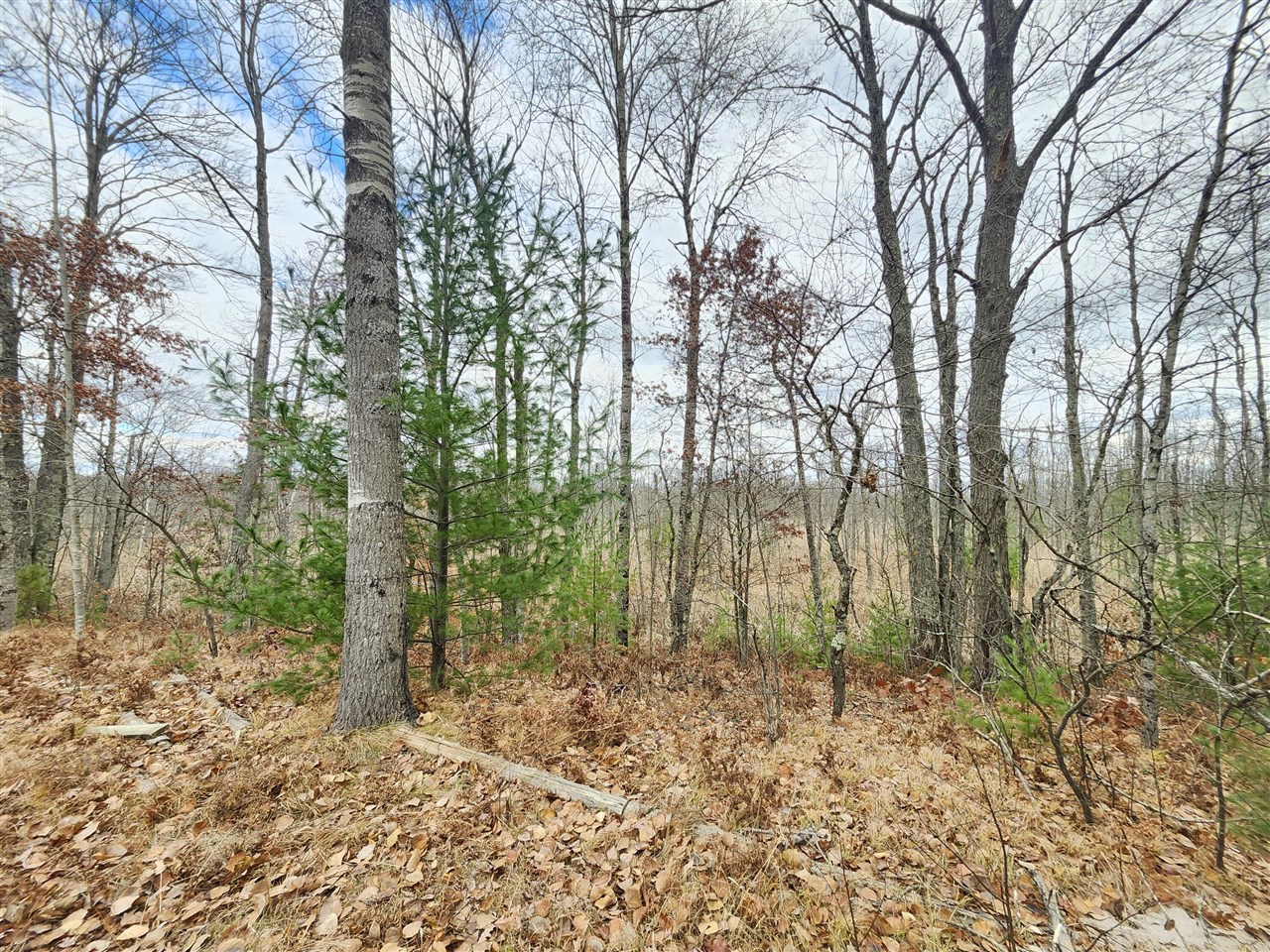 10544 N Lazy Lane Property Photo 6