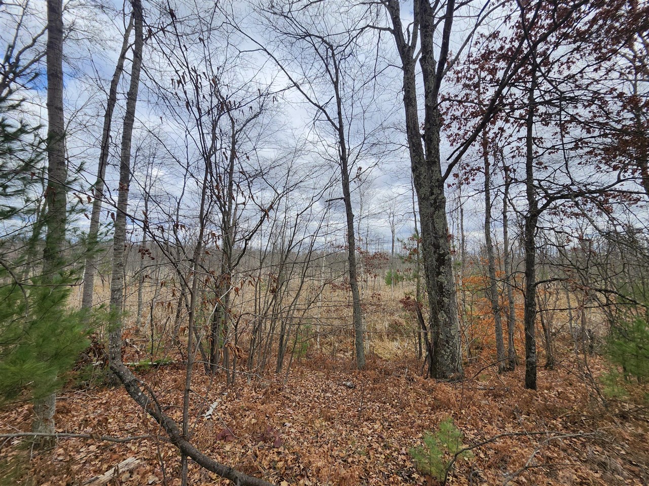 10544 N Lazy Lane Property Photo 7