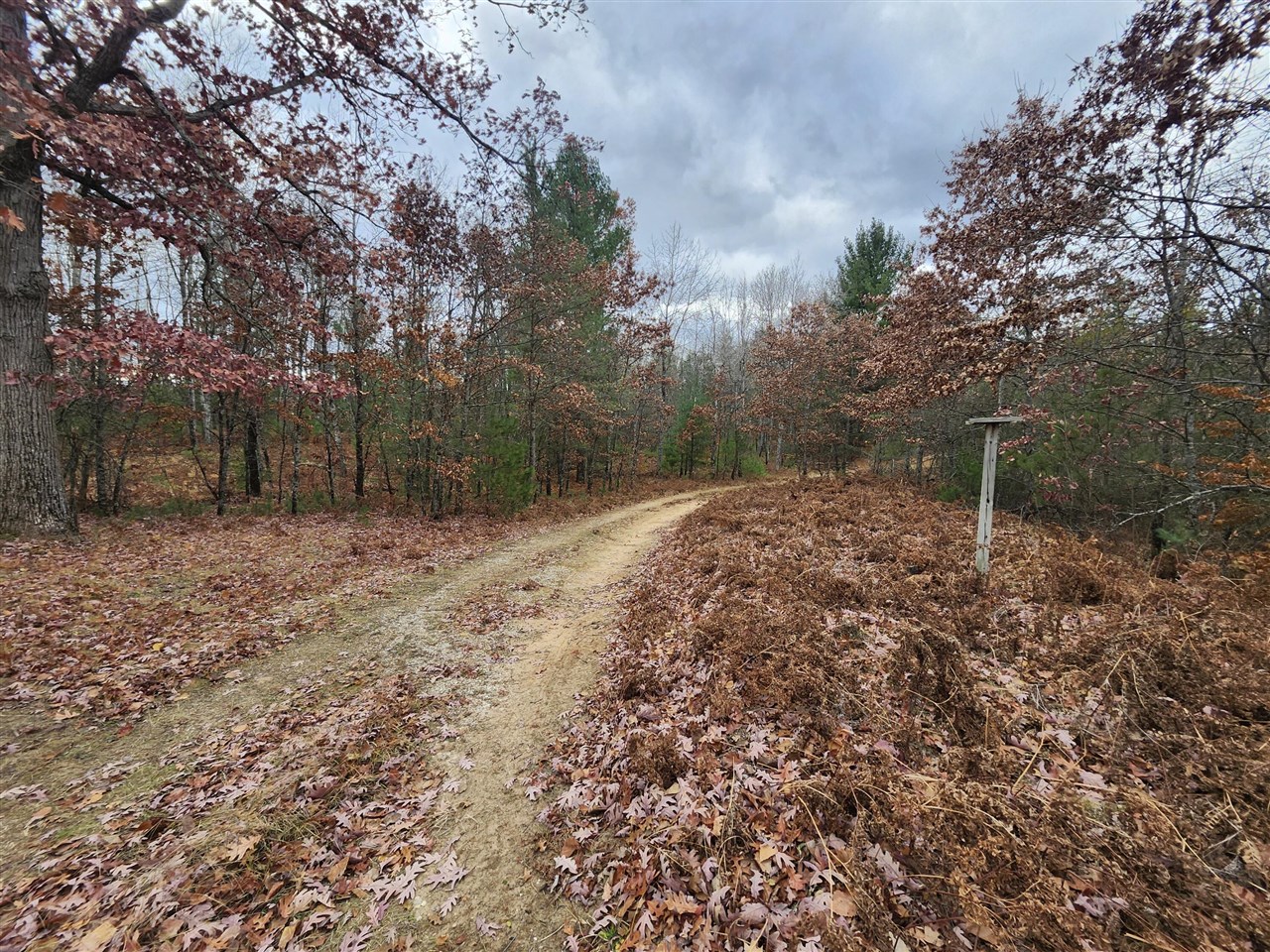 10544 N Lazy Lane Property Photo 9