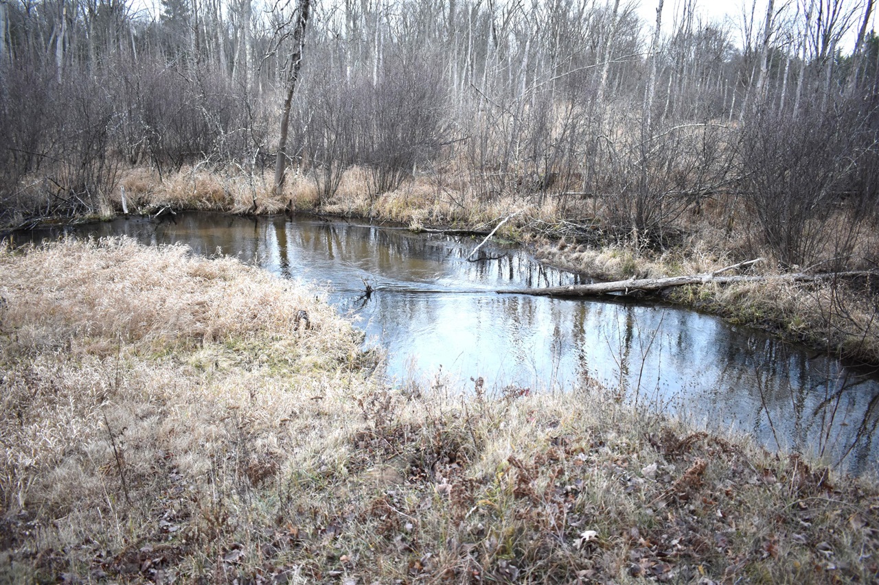 646 W 3 Mile Road Property Photo 1
