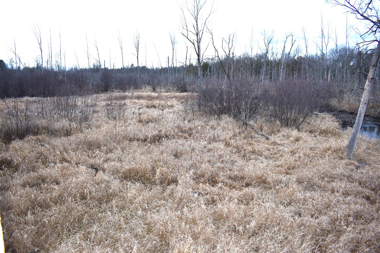 646 W 3 Mile Road Property Photo 4