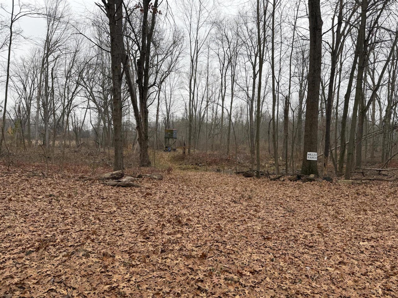 Burtch Road Property Photo 1
