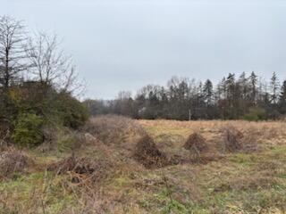 6680 Carpenter Road Property Photo 4