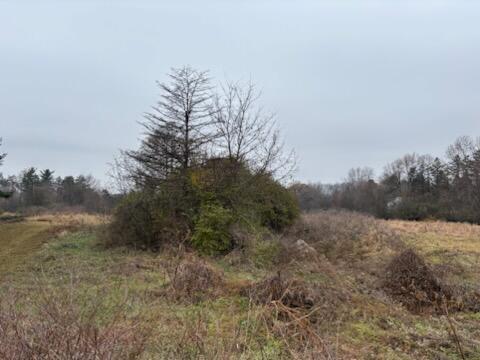 6680 Carpenter Road Property Photo 5