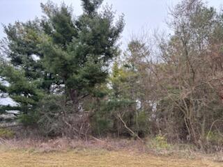 6680 Carpenter Road Property Photo 7