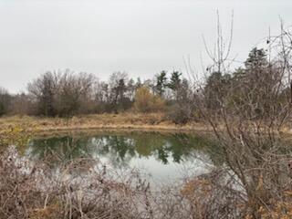 6680 Carpenter Road Property Photo 9