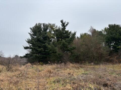 6680 Carpenter Road Property Photo 11