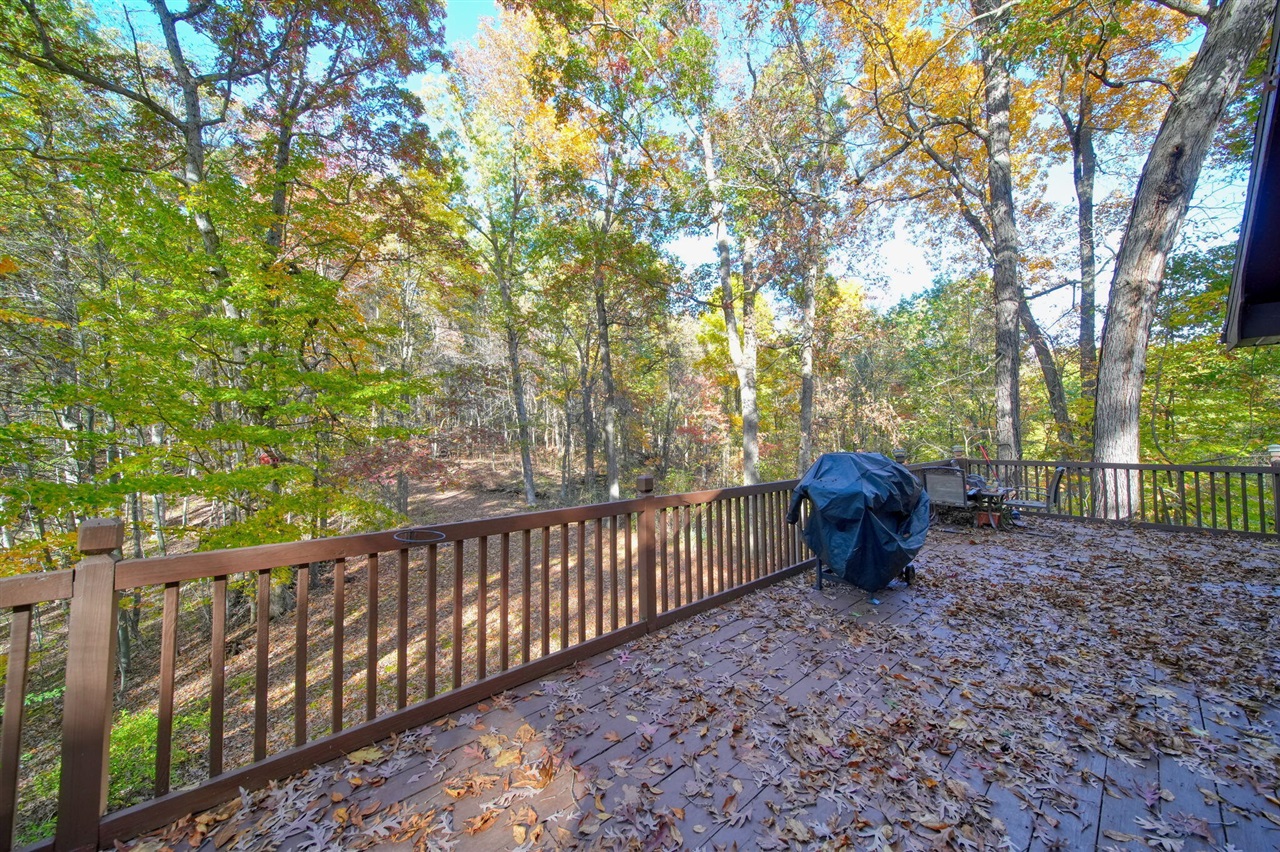 270 Wood Hills Drive Property Photo 44