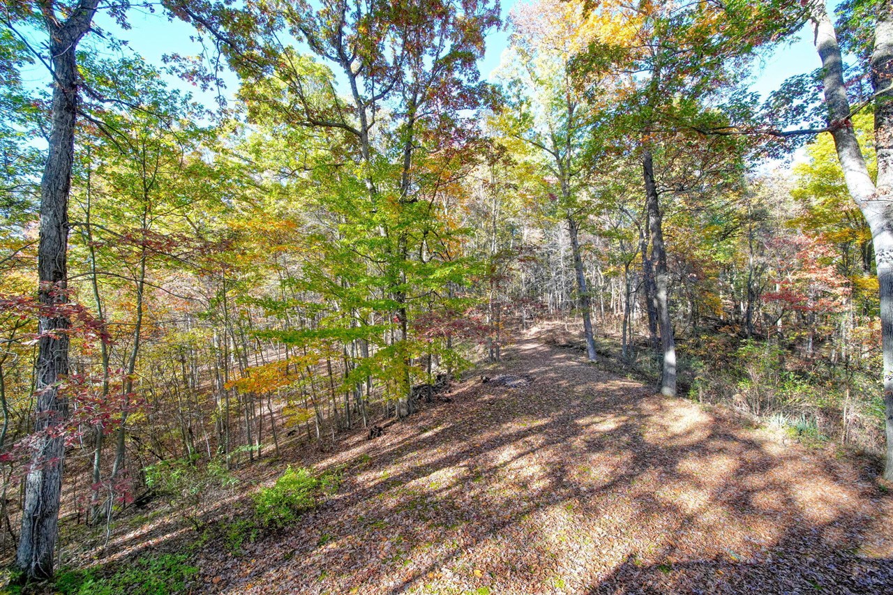 270 Wood Hills Drive Property Photo 45