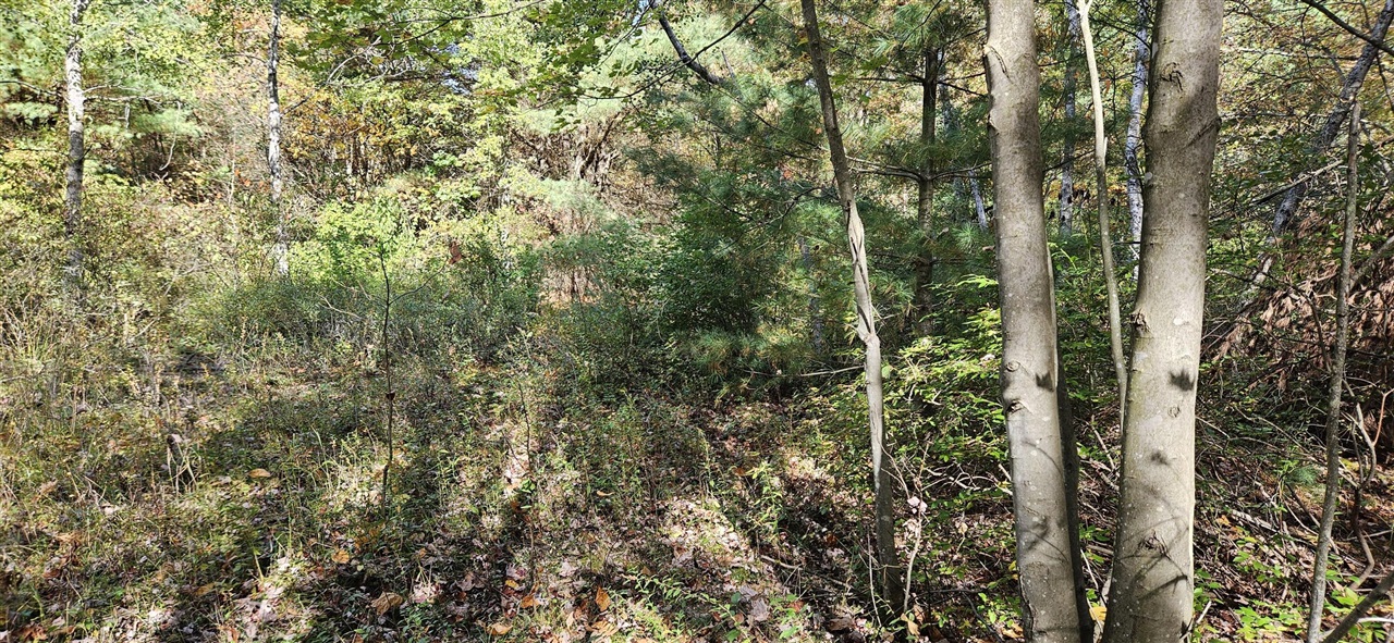1100 E Bard Property Photo 11