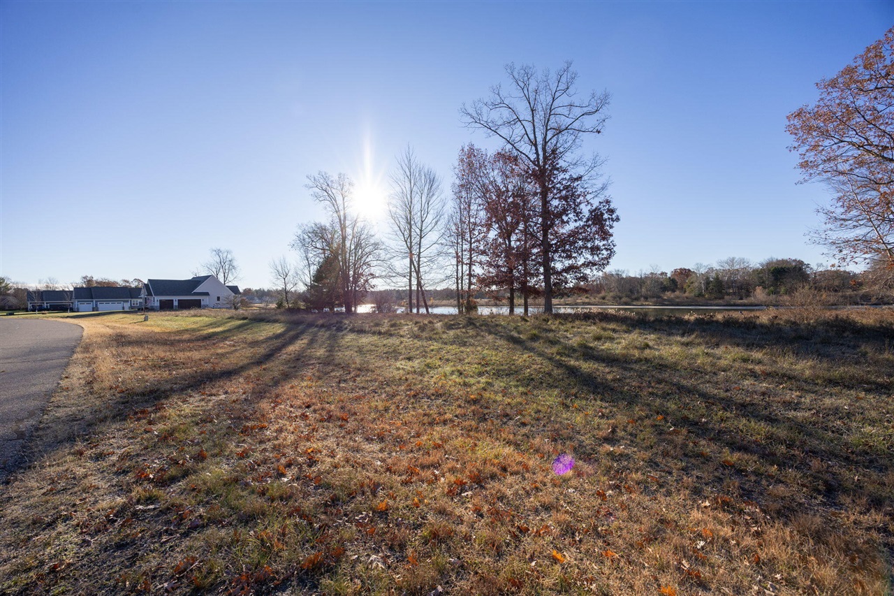 11509 Killarney Drive Property Photo 3