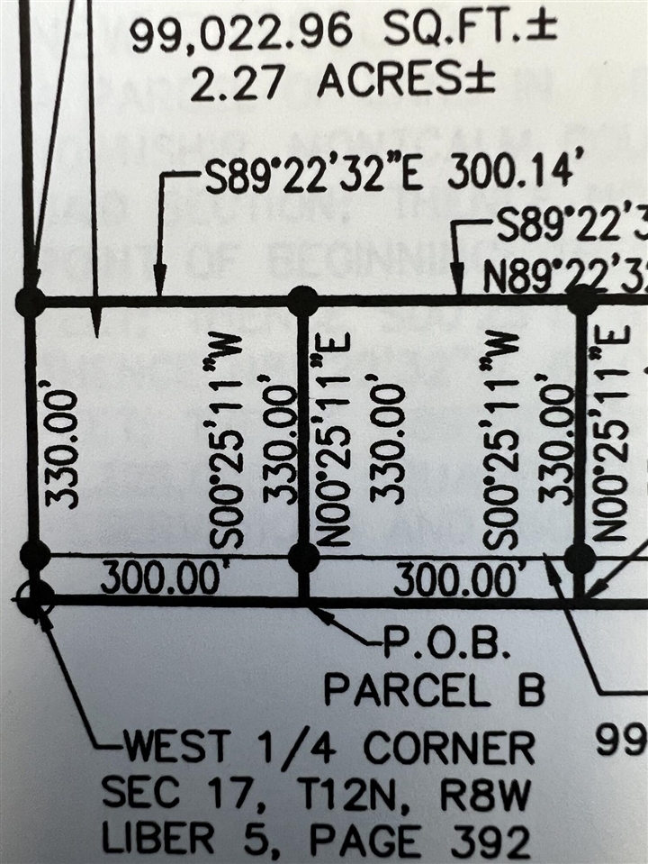 Lot A Howard City Edmore Road Property Photo 1