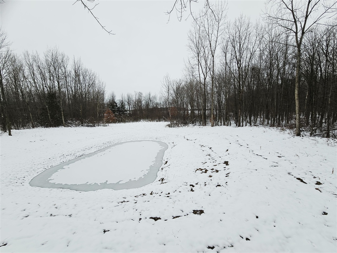 490 Kelley Road Property Photo 8
