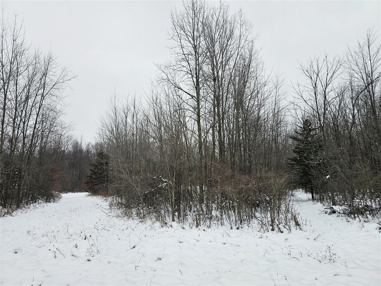 490 Kelley Road Property Photo 18