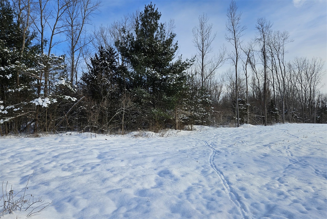 14th Avenue Property Photo 10