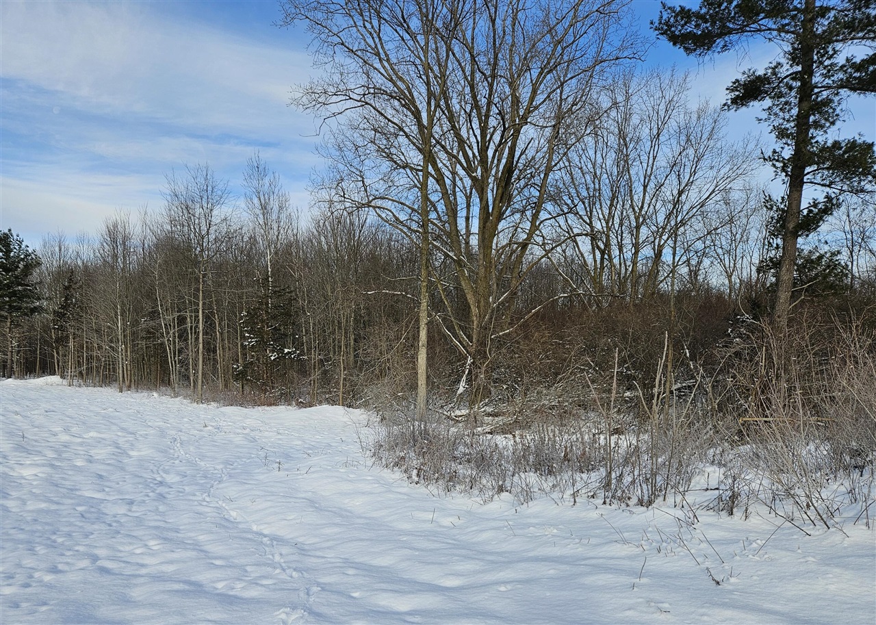 14th Avenue Property Photo 11