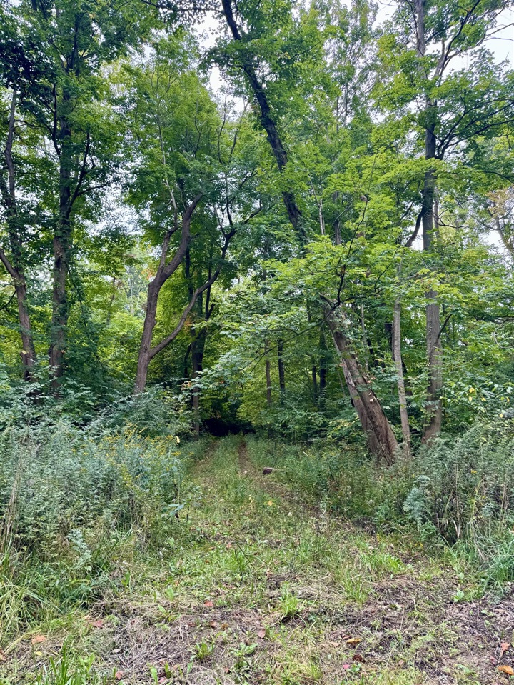 7352 Red Arrow Highway Property Photo 2