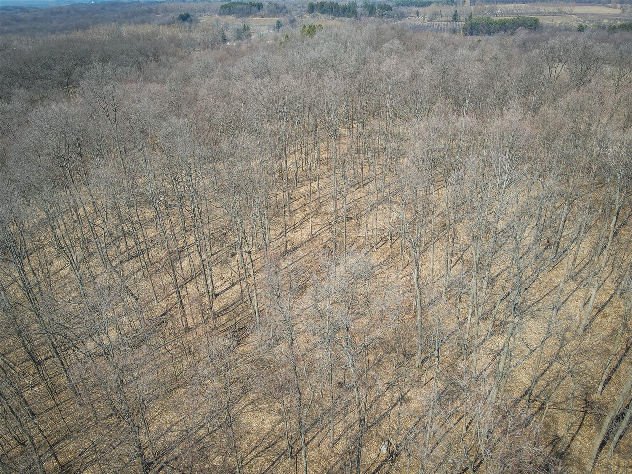 Parcel C W Grant Road Property Photo 25