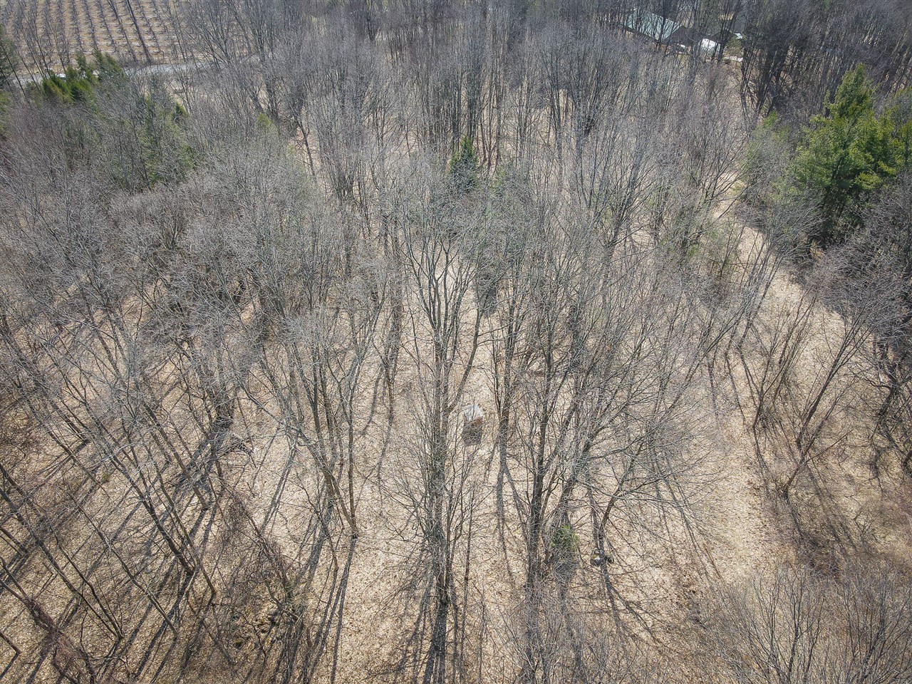 Parcel C W Grant Road Property Photo 28