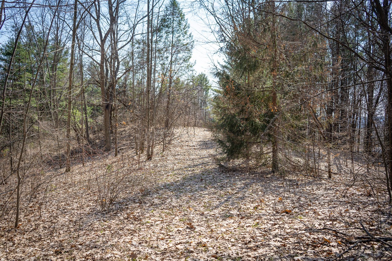 Parcel B S 88th Avenue Property Photo 6