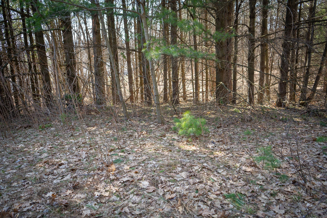 Parcel B S 88th Avenue Property Photo 7
