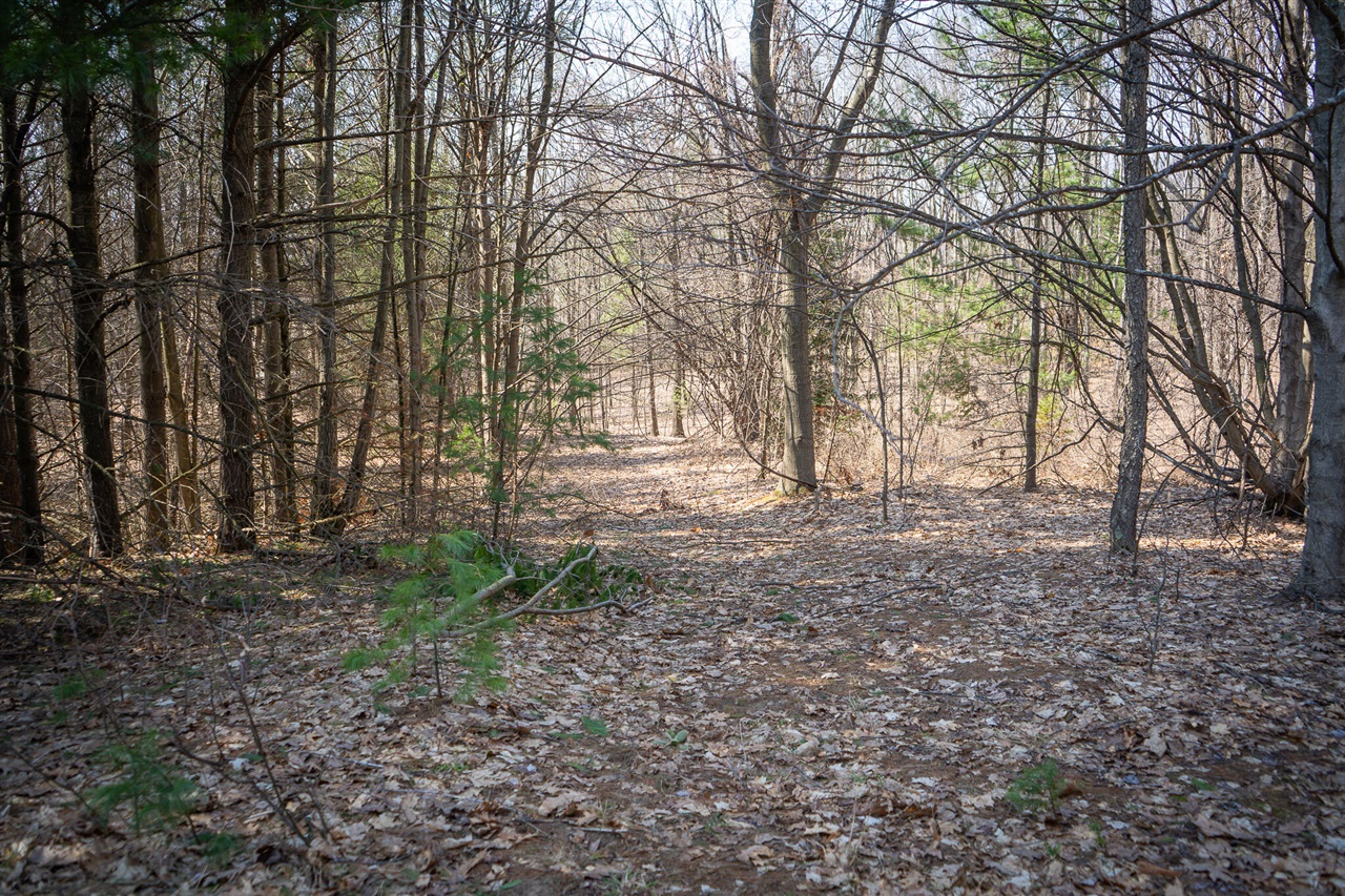 Parcel B S 88th Avenue Property Photo 8