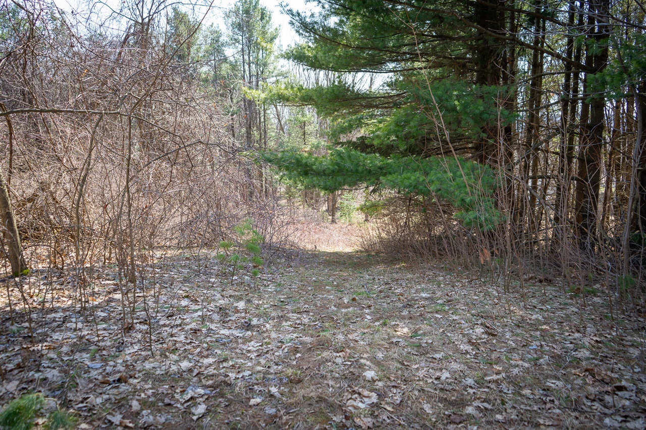 Parcel B S 88th Avenue Property Photo 9