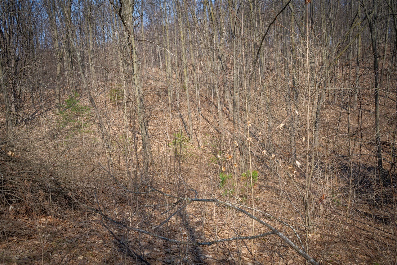 Parcel B S 88th Avenue Property Photo 10