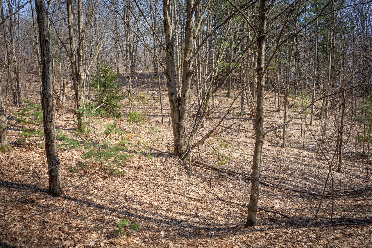 Parcel B S 88th Avenue Property Photo 12