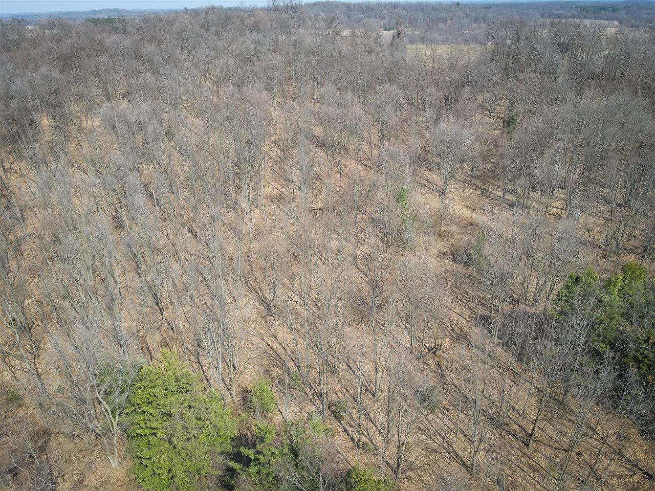 Parcel B S 88th Avenue Property Photo 17