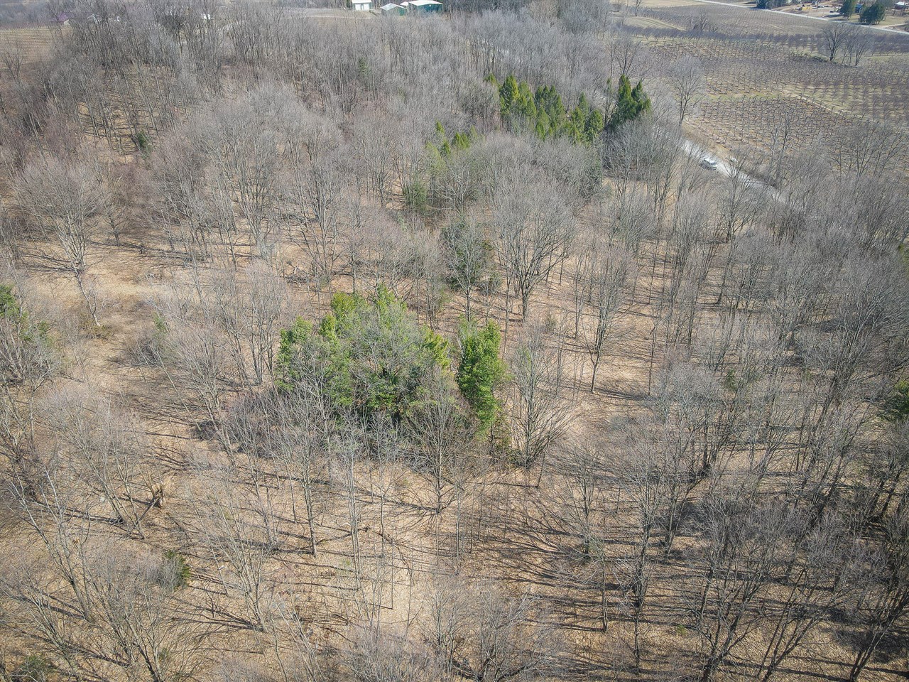 Parcel B S 88th Avenue Property Photo 18