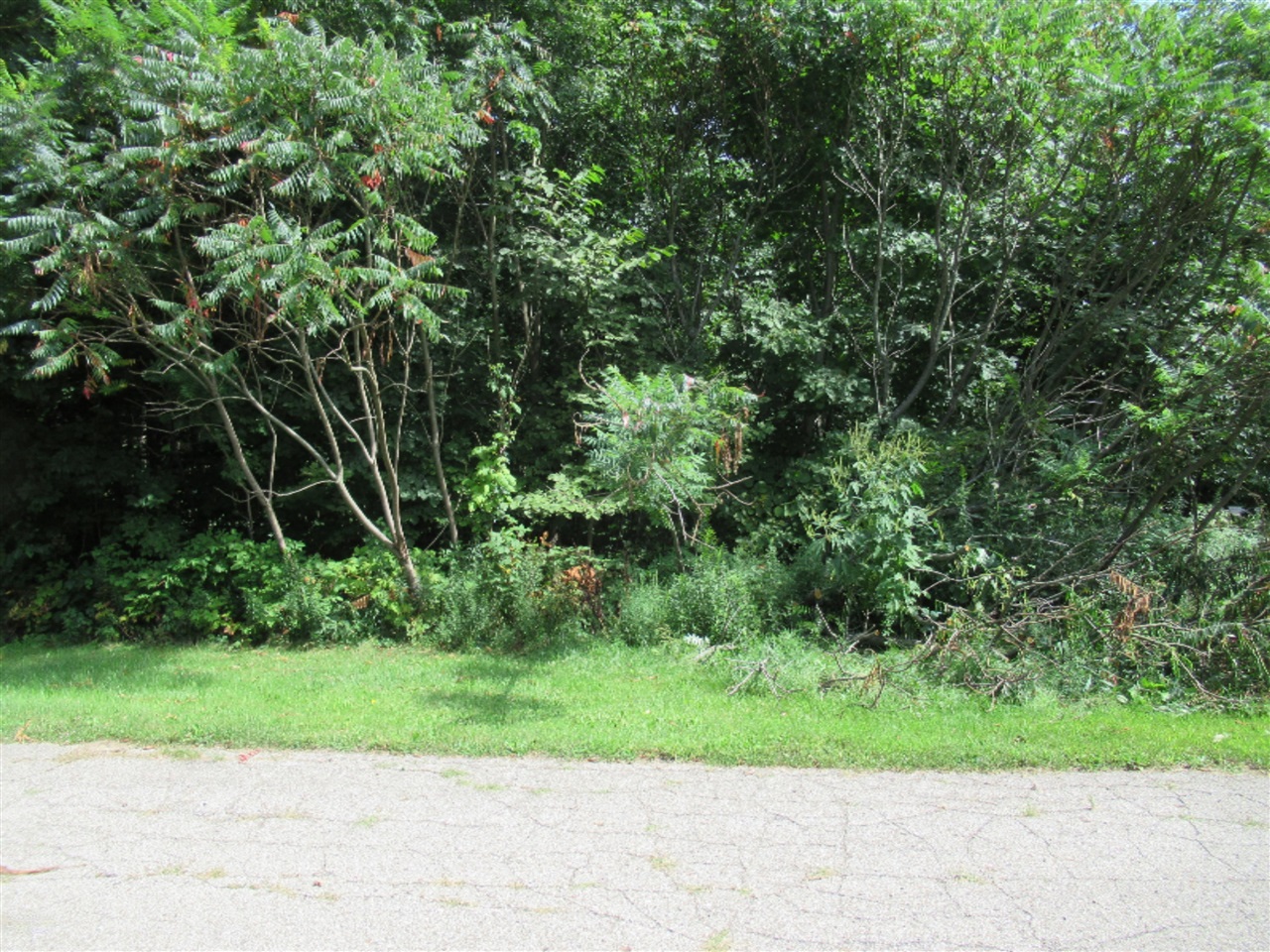Tract 3 Deep Woods Drive Property Photo 1