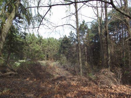 1316,28&70 E Chauvez Road Property Photo 97
