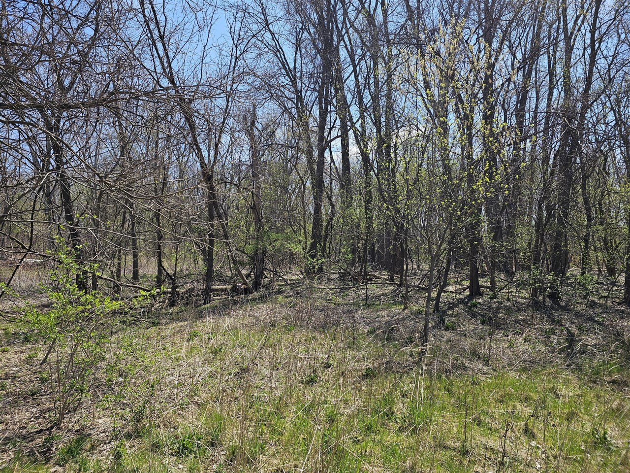V/l Webber Street Property Photo 7