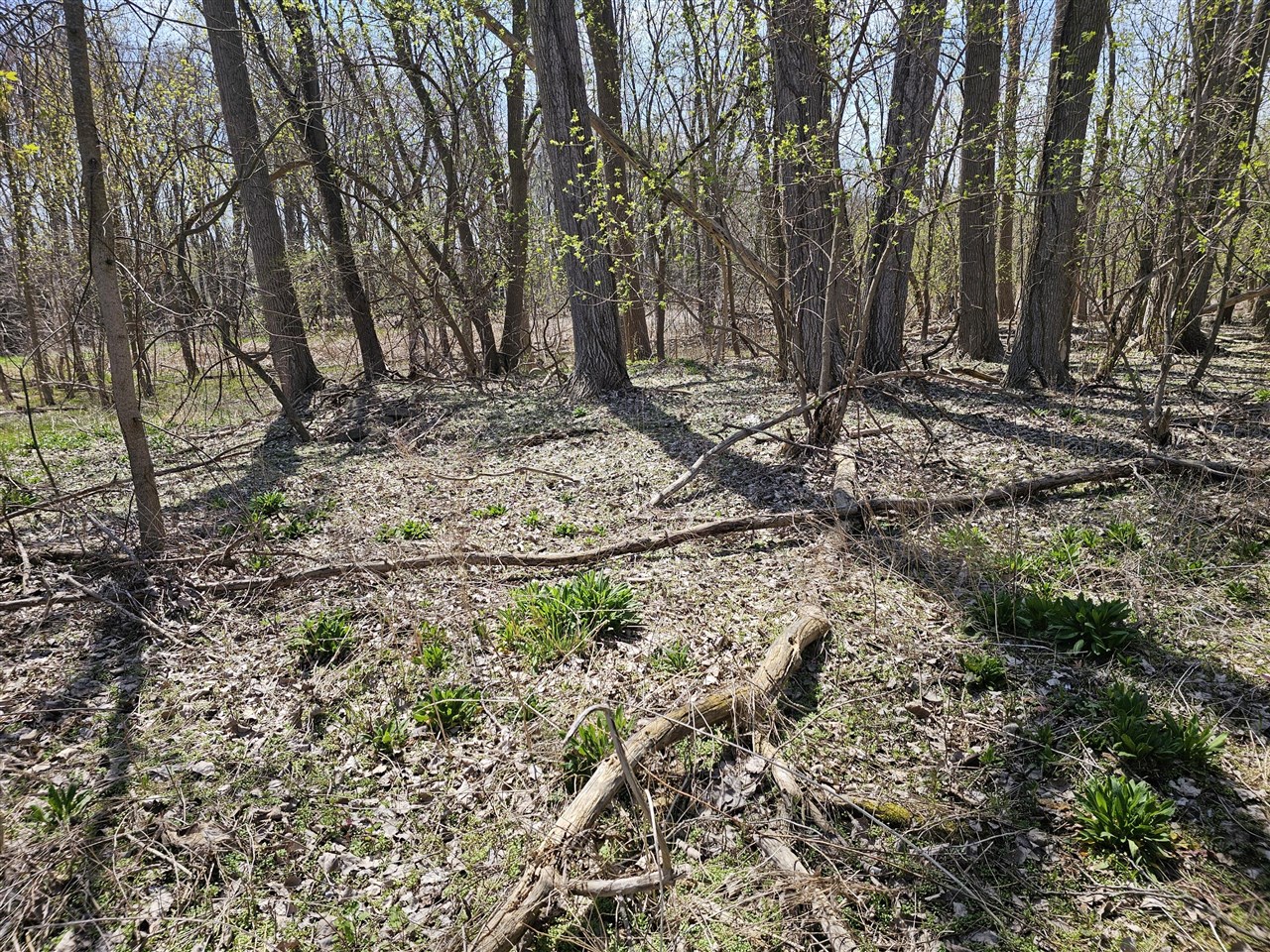 V/l Webber Street Property Photo 9