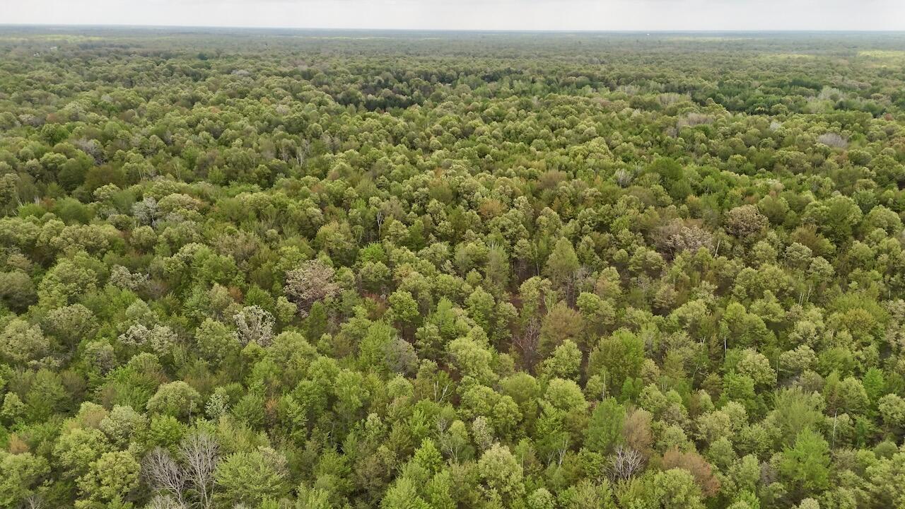 N Magruder Road Property Photo 1