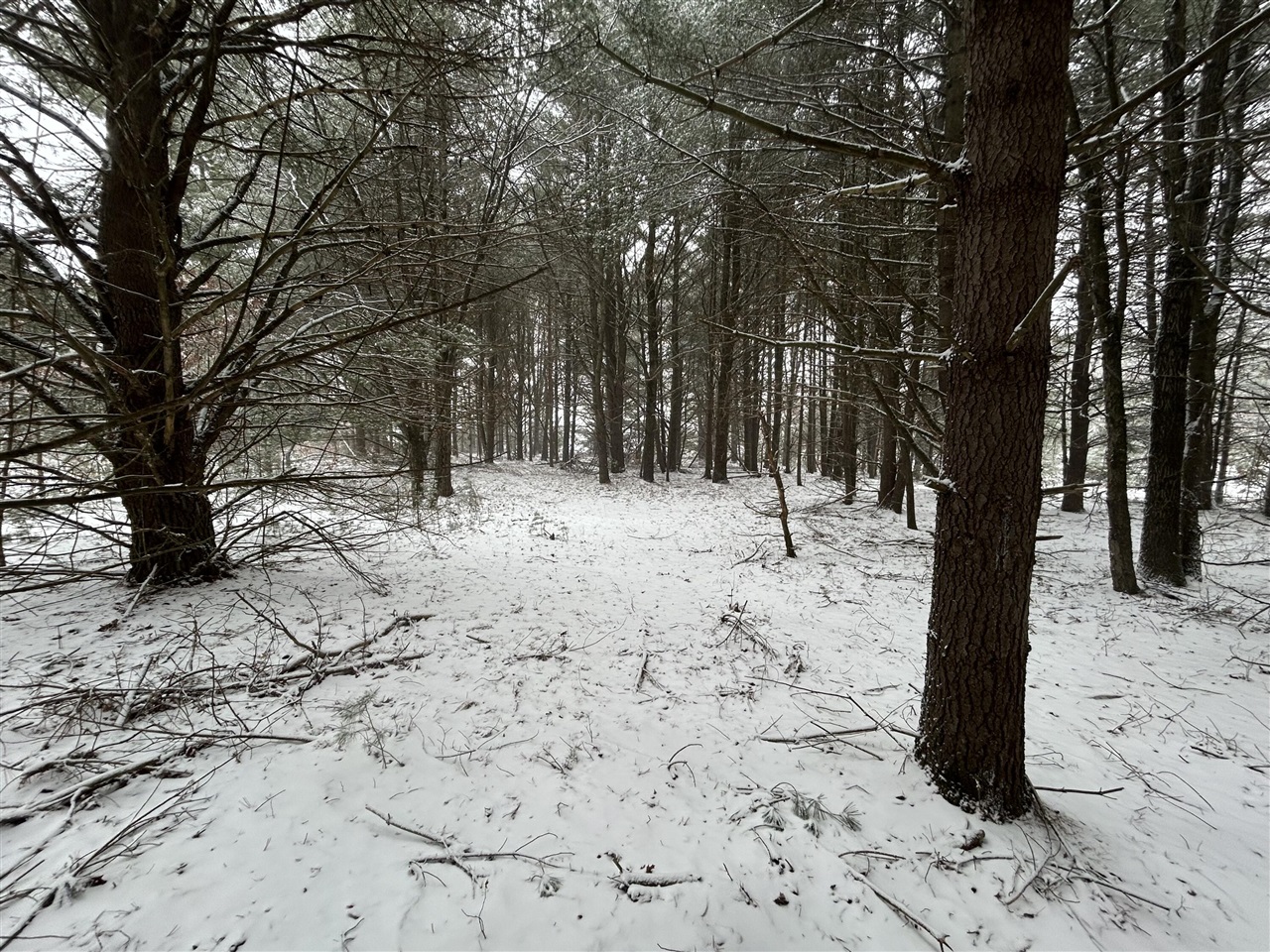 9530 Federal Road Property Photo 3